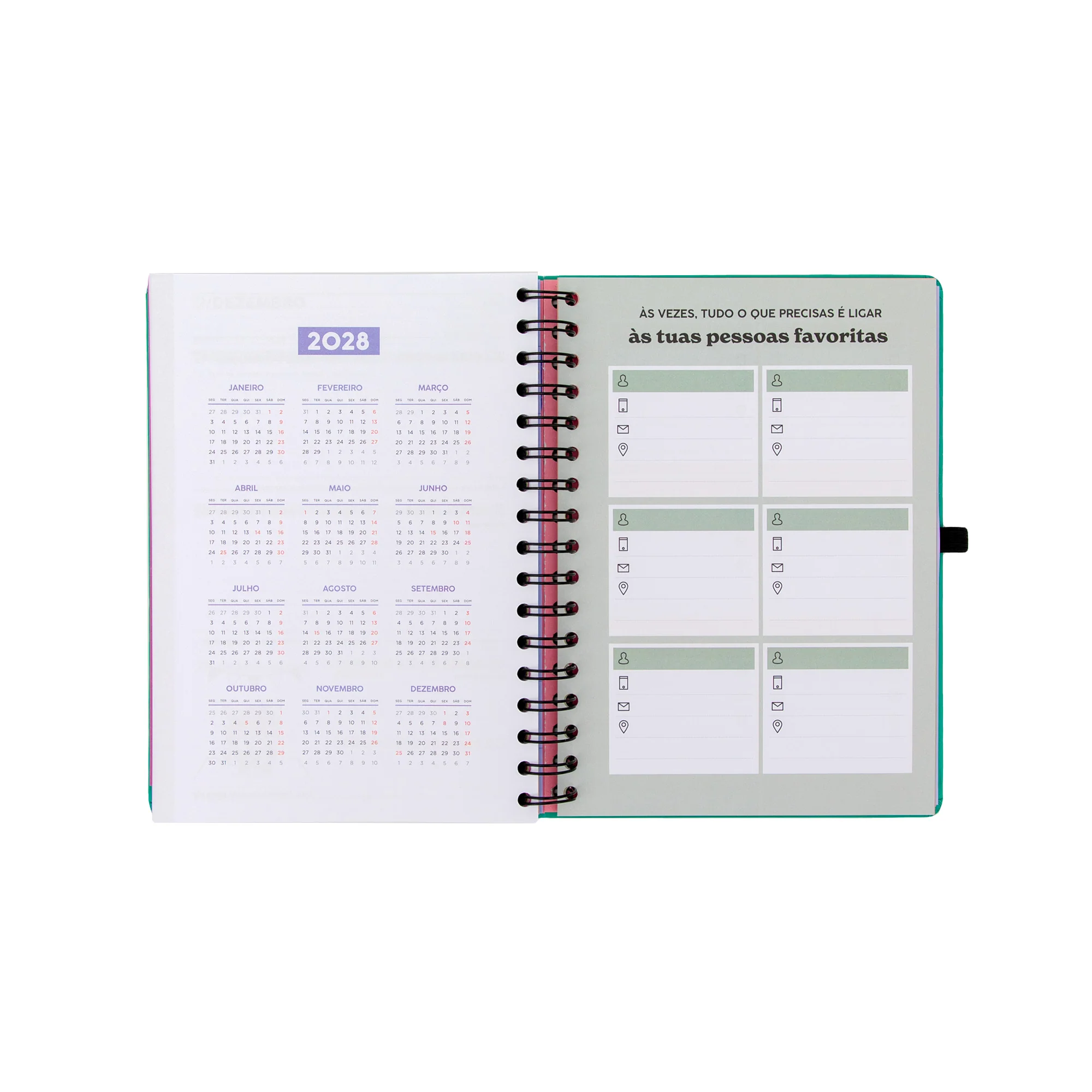 Agenda Mr. Wonderful 2026-27 Semanal 18 meses - Sonha muito, vive livre - Image 8