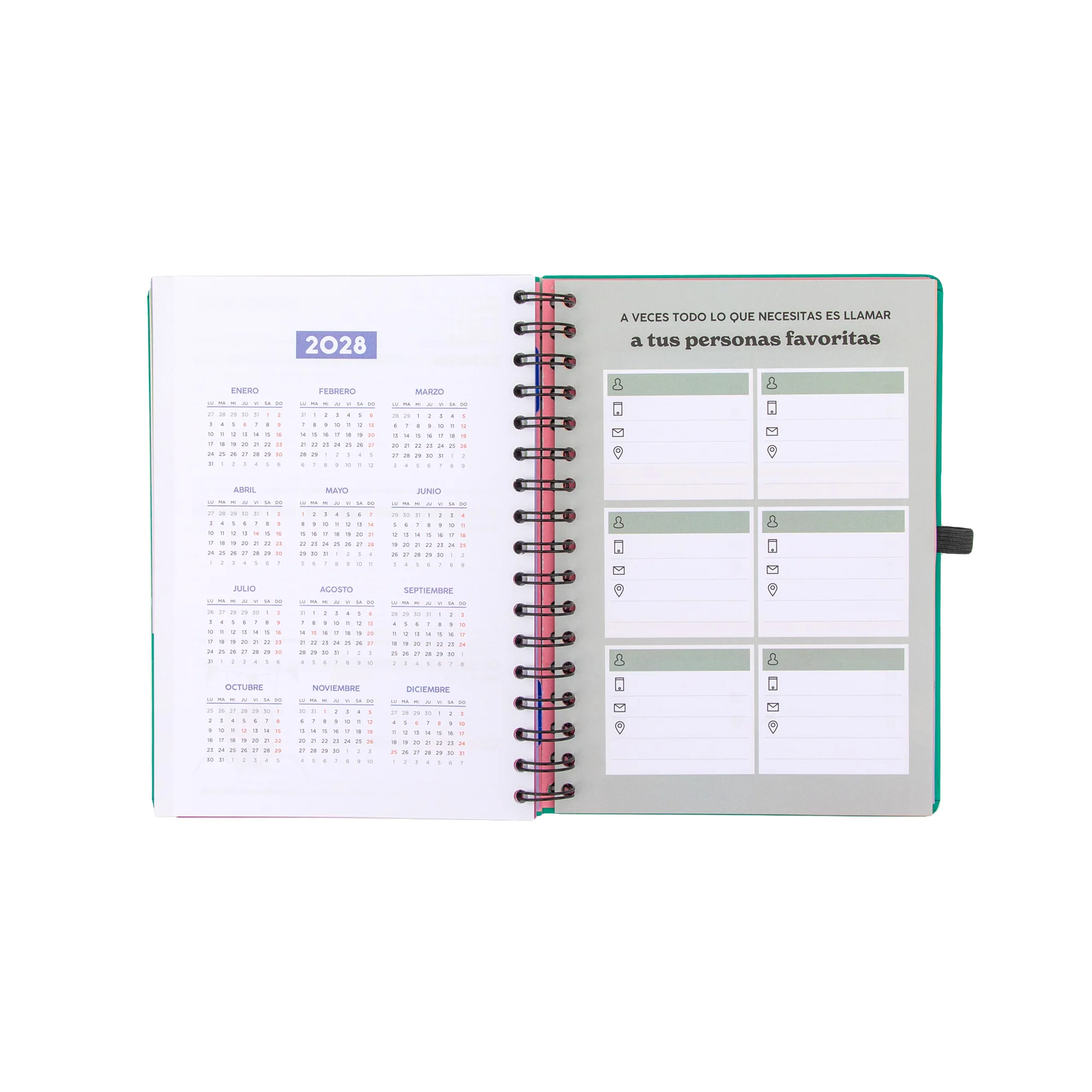 Agenda Mr. Wonderful 2026-27 Semanal 18 meses - Sueña fuerte, vive libre - Image 8