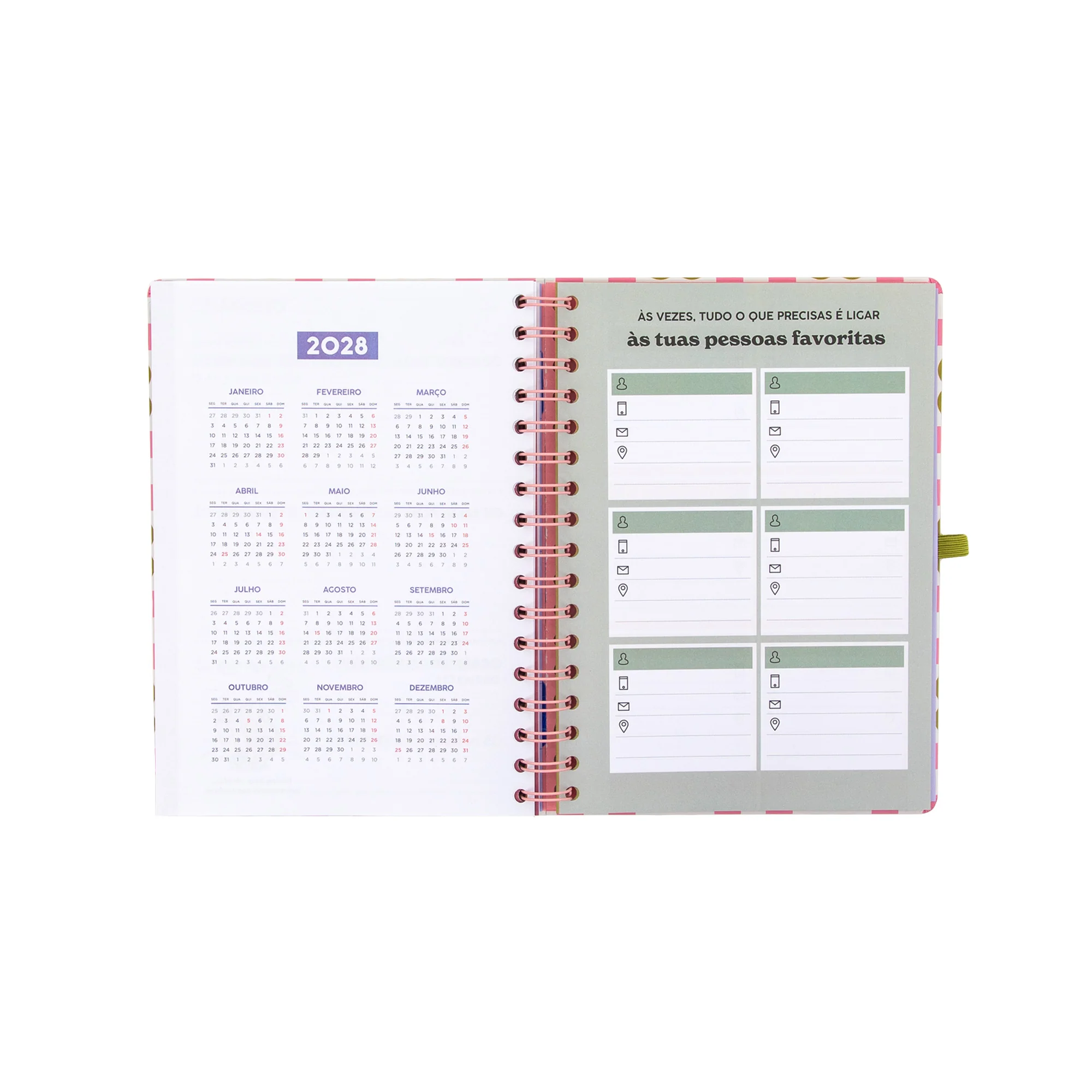 Agenda Mr. Wonderful 2026-27 Semanal - Vive hoje, planeia sempre - Image 8