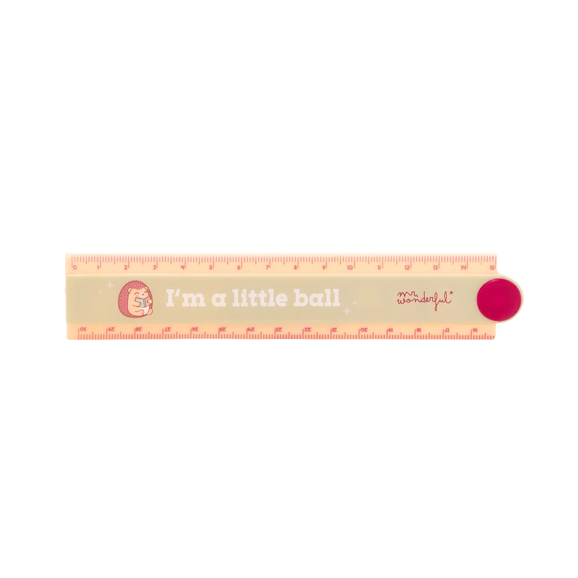 Regla plegable de 30 cm con erizo - I’m a little ball