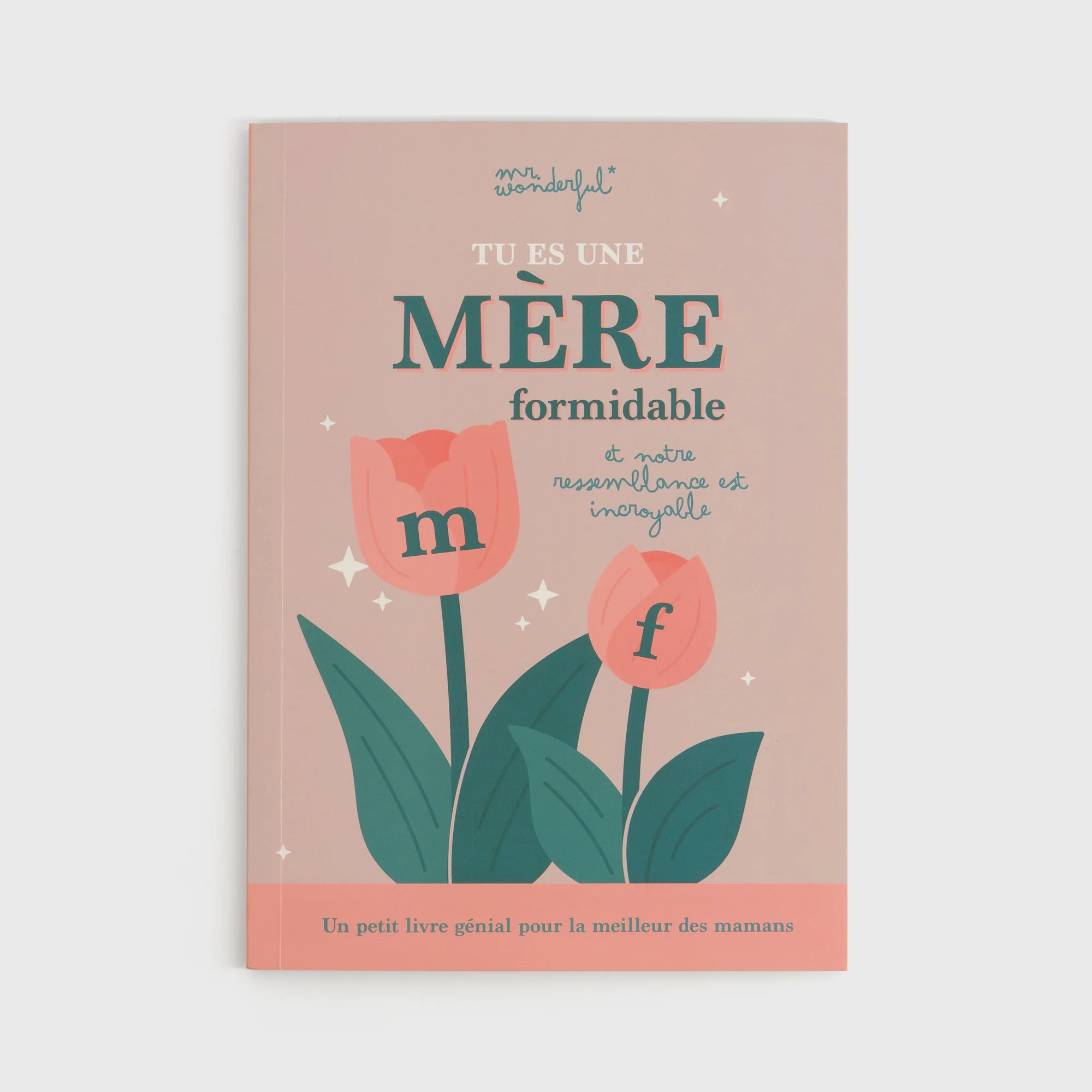 Livre à personnaliser - Tu es une mère formidable et notre ressemblance est incroyable