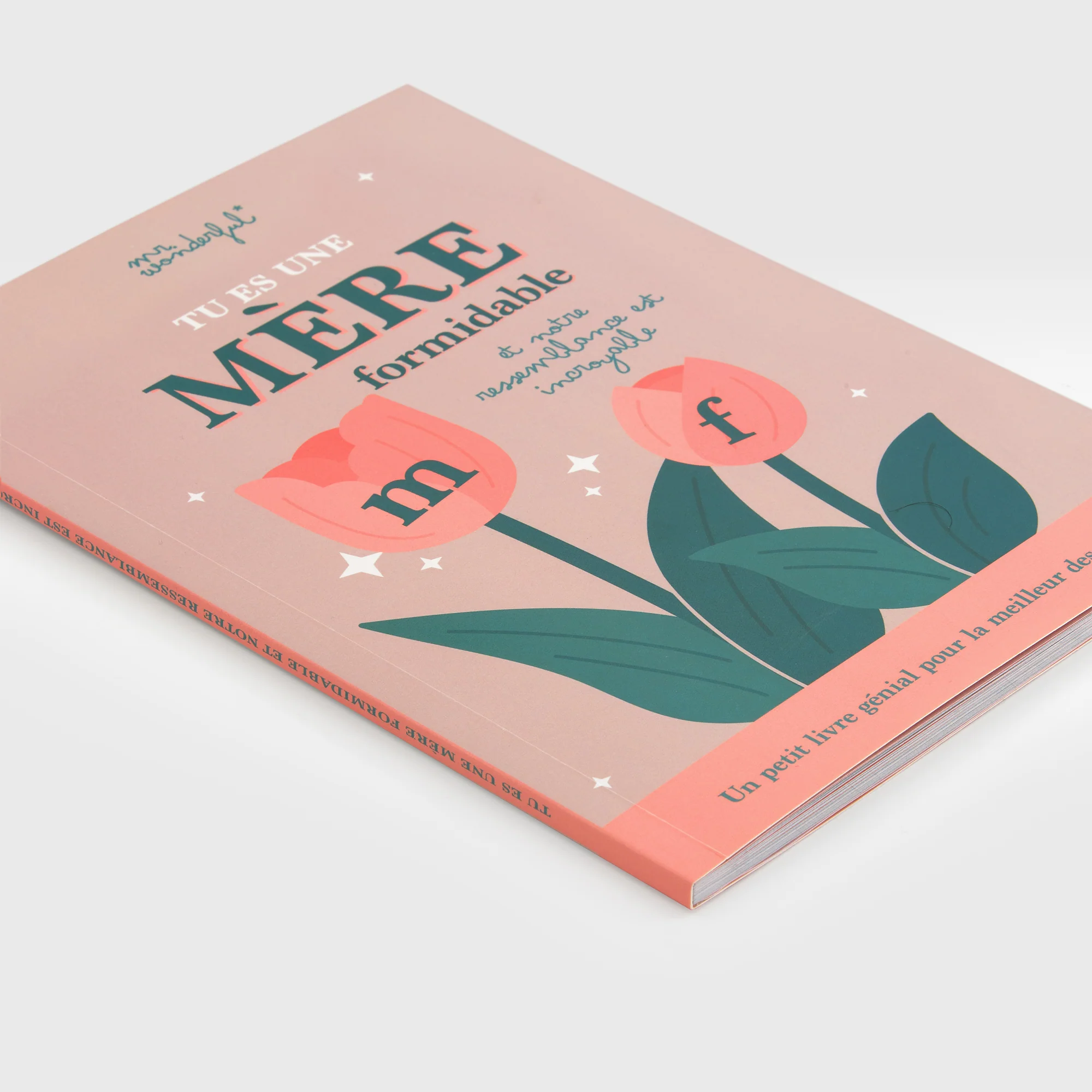 Livre à personnaliser - Tu es une mère formidable et notre ressemblance est incroyable - Image 3
