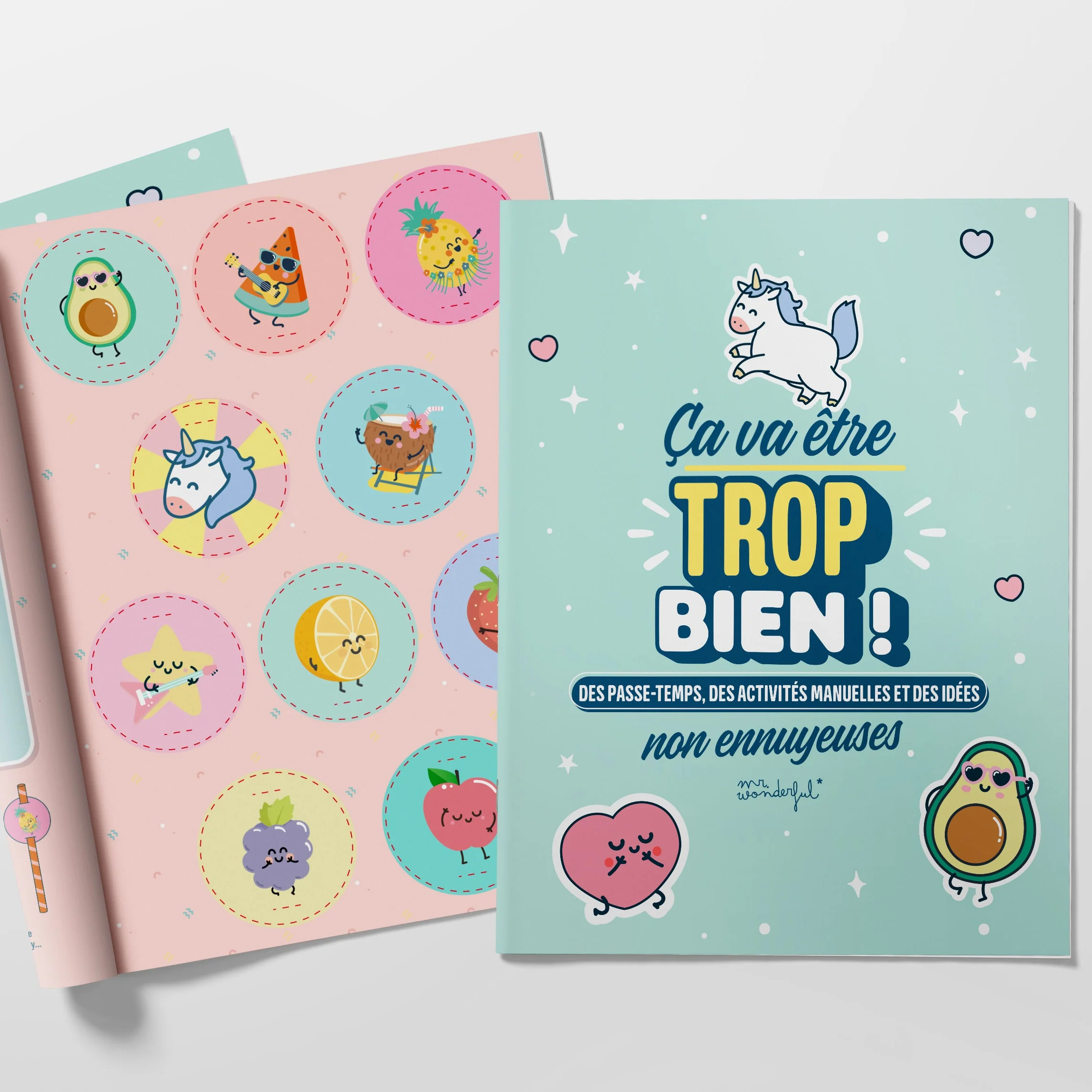 Livre de passe-temps, d'activités manuelles et d'idées non ennuyeuses