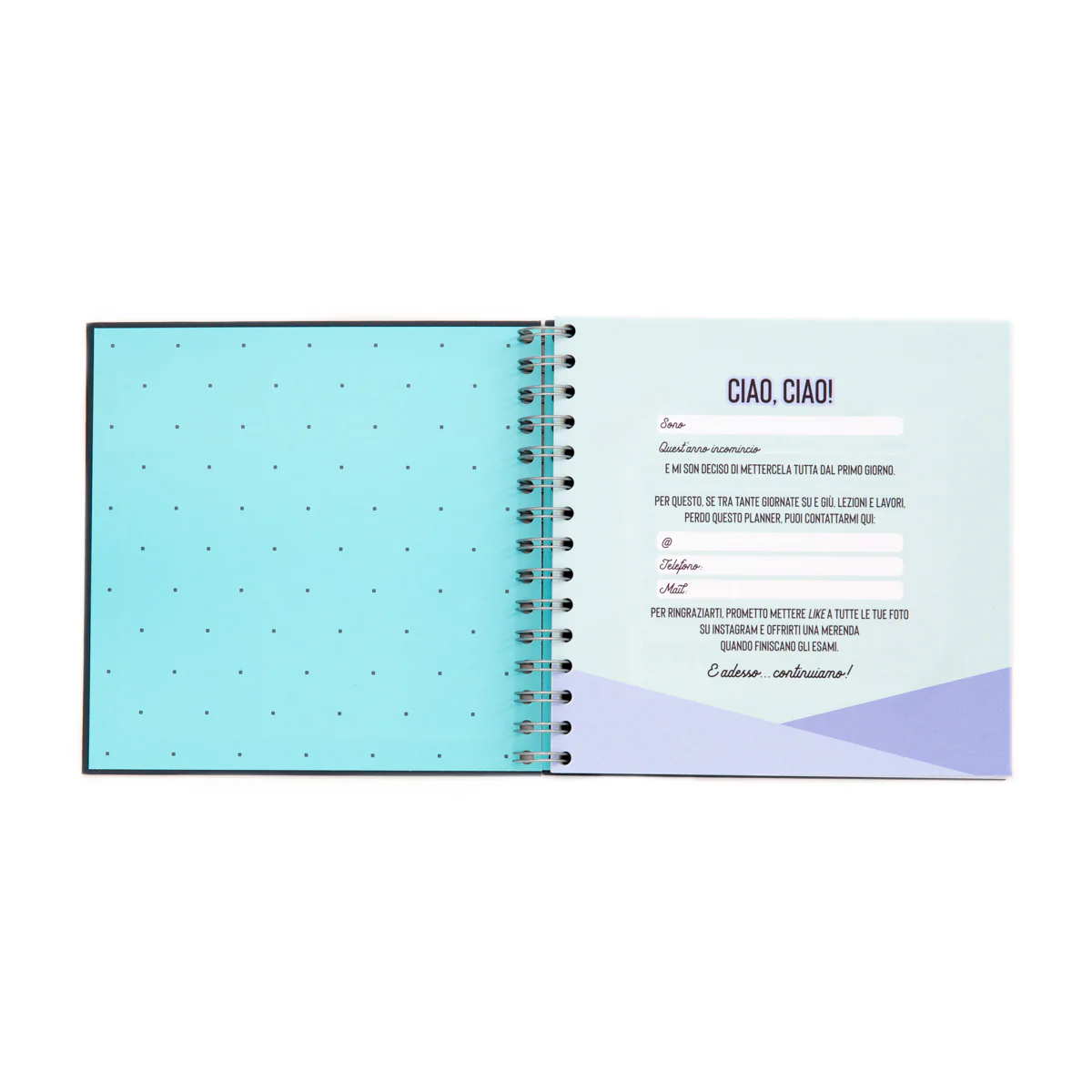 Planner studio - Lasciatemi passare sto per triunfare - Image 8