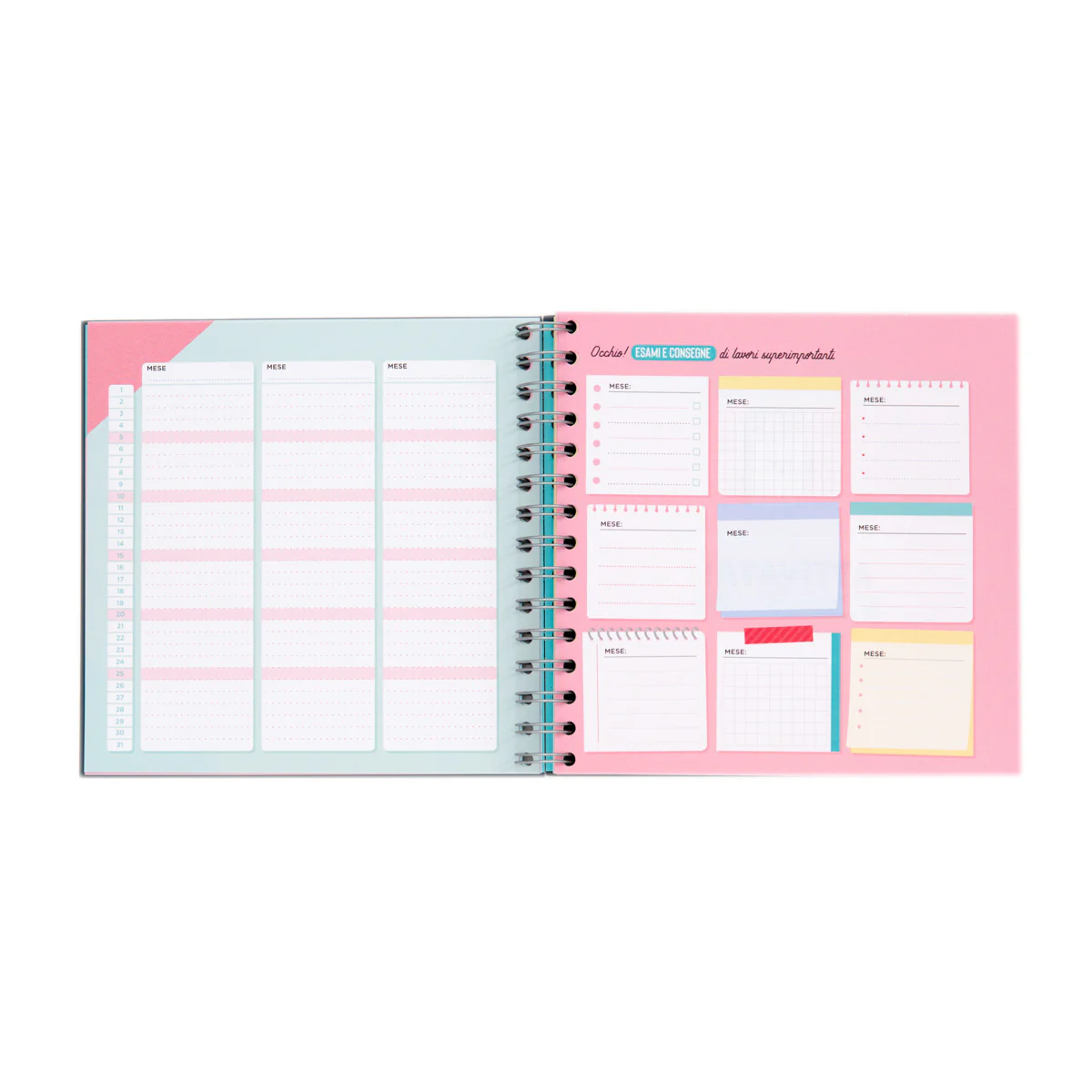 Planner studio - Lasciatemi passare sto per triunfare - Image 9