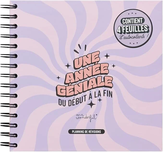 Planning de révisions - Une année géniale du début à la fin