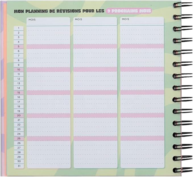 Planning de révisions - Une année géniale du début à la fin - Image 8
